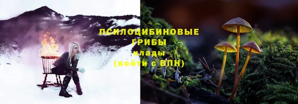 2c-b Алзамай